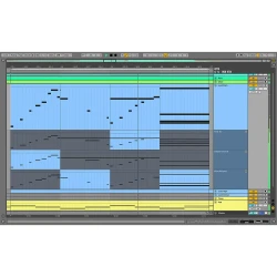 Ableton Live 11 Suite EDU Daw Yazılımı - Thumbnail