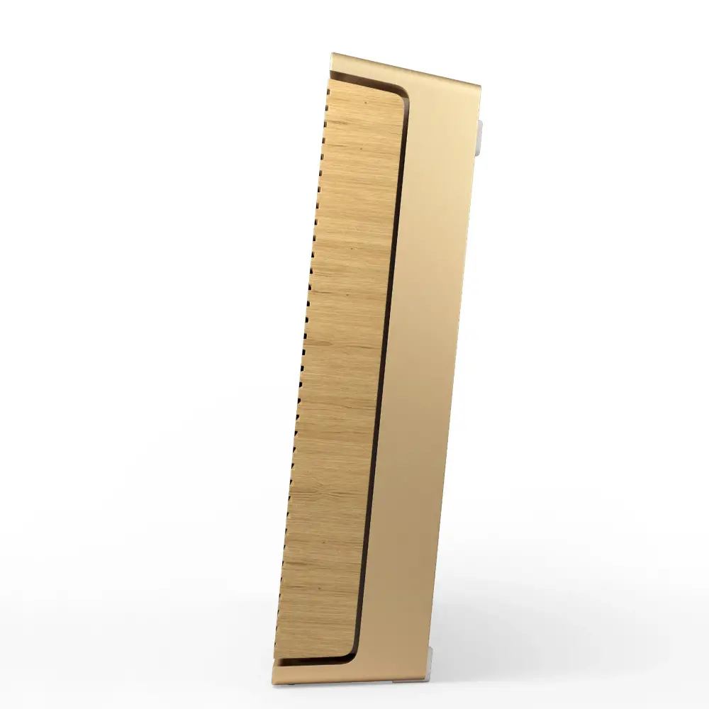 Bang & Olufsen BeoSound Level Taşınabilir Multiroom Kablosuz Hoparlör (Altın / Meşe Ağacı)