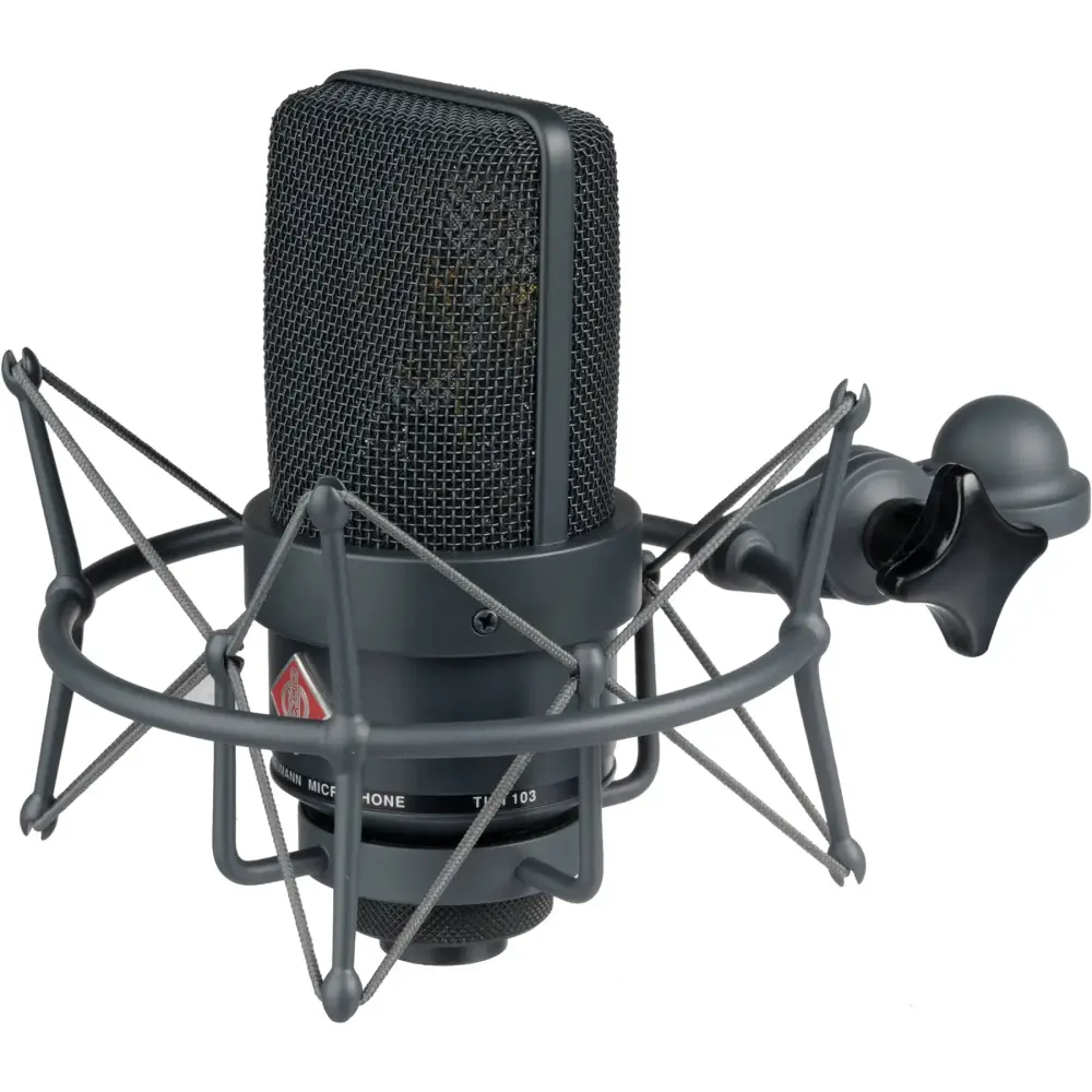 Neumann TLM 103 mt Mono Set Condenser Stüdyo Mikrofon