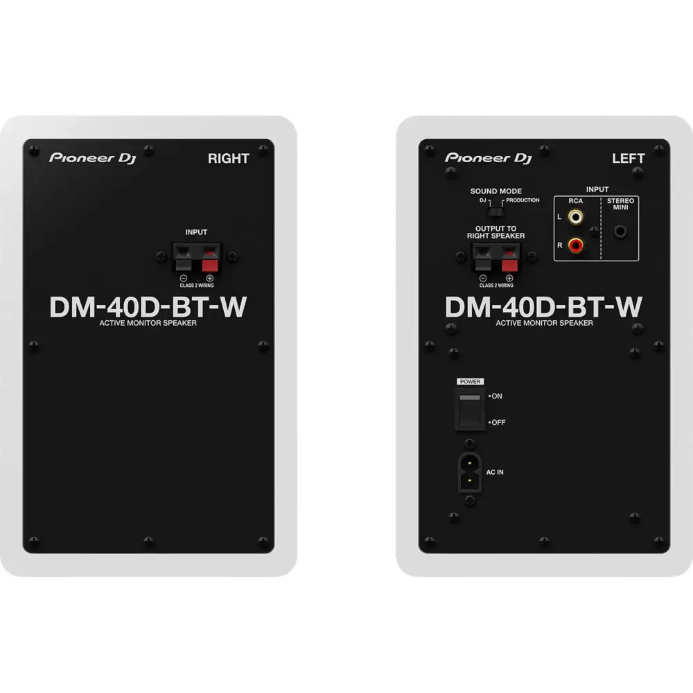 Pioneer DJ DM-40D-BT Multimedia Hoparlör