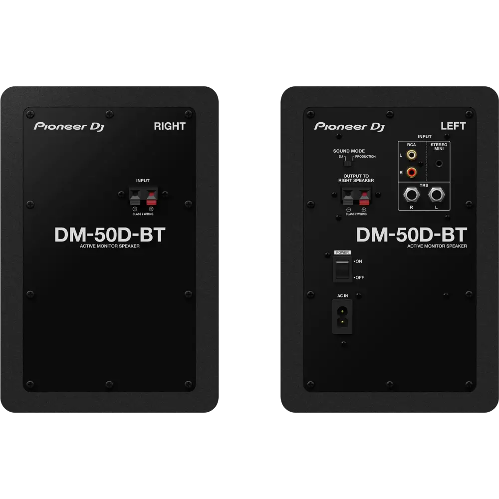 Pioneer DJ DM-50D-BT Multimedia Hoparlör