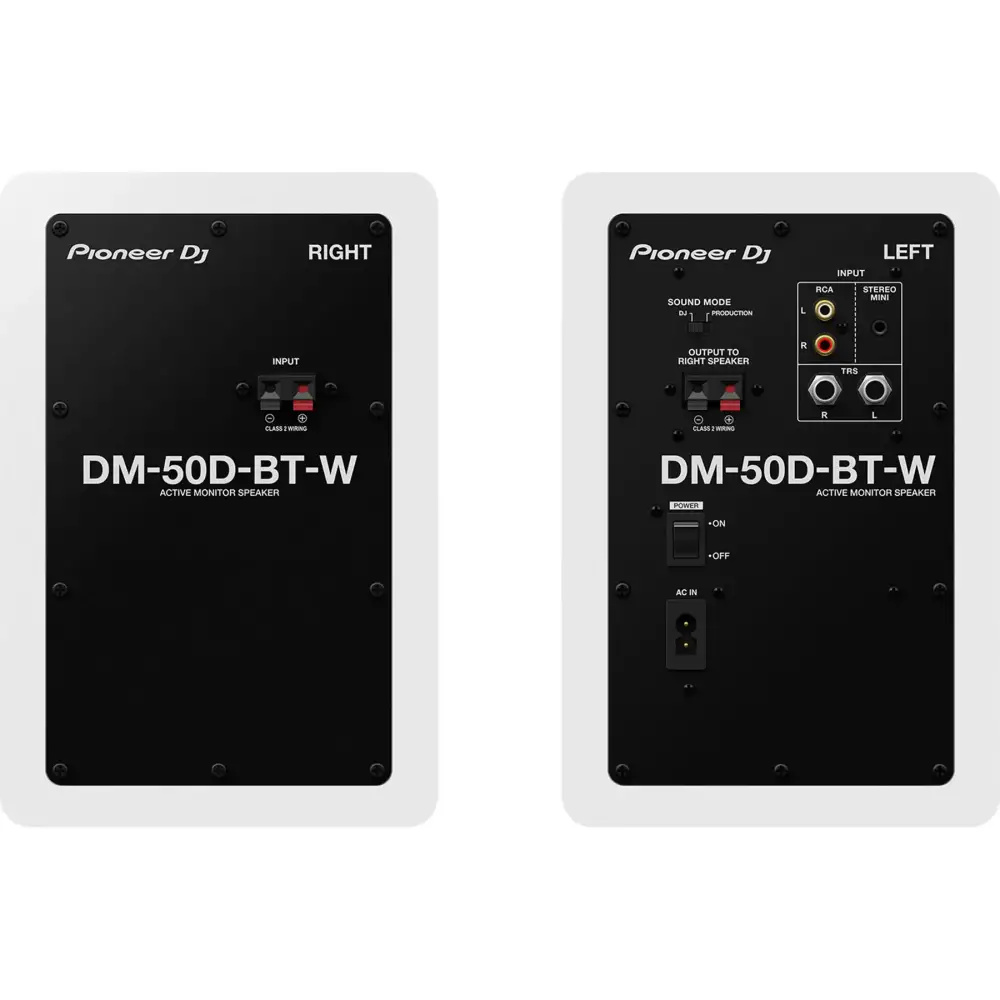 Pioneer DJ DM-50D-BT Multimedia Hoparlör